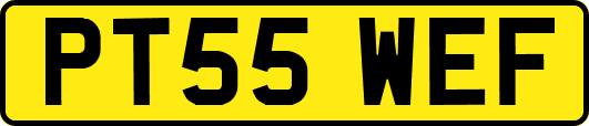 PT55WEF