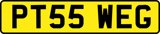 PT55WEG