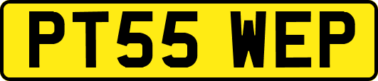 PT55WEP