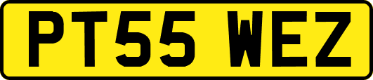 PT55WEZ
