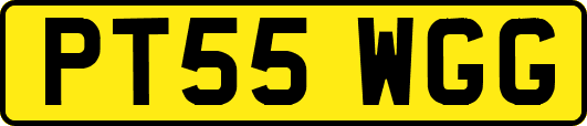 PT55WGG