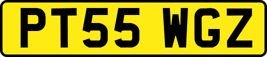 PT55WGZ