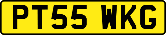 PT55WKG