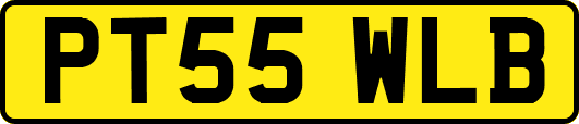 PT55WLB