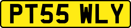 PT55WLY
