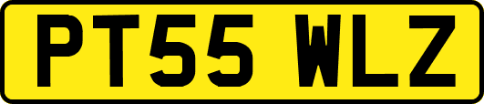 PT55WLZ