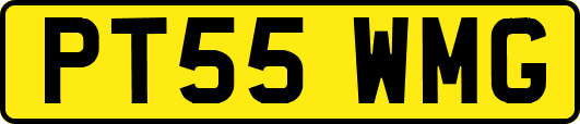 PT55WMG