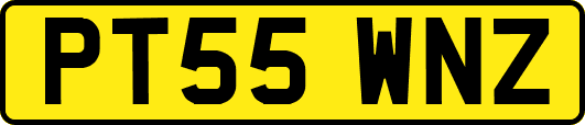 PT55WNZ