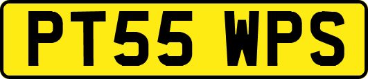 PT55WPS