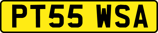 PT55WSA