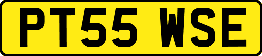 PT55WSE