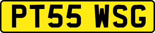 PT55WSG