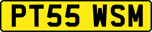 PT55WSM