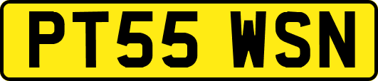 PT55WSN