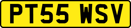 PT55WSV