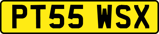 PT55WSX