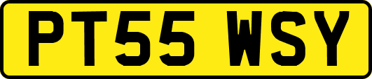 PT55WSY