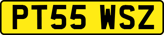 PT55WSZ