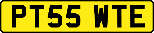 PT55WTE