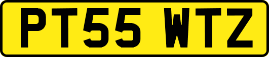PT55WTZ