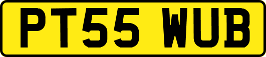 PT55WUB
