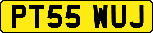 PT55WUJ