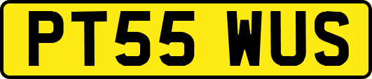 PT55WUS