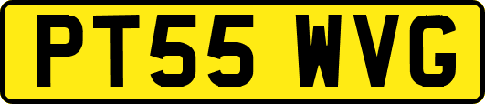PT55WVG