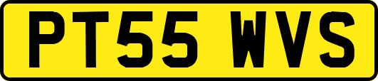 PT55WVS