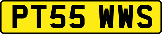 PT55WWS