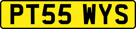 PT55WYS