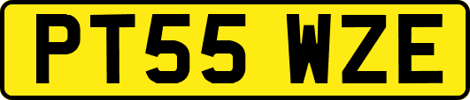 PT55WZE