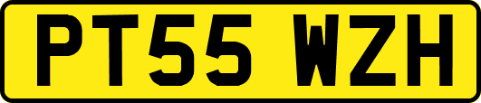 PT55WZH