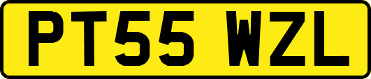 PT55WZL