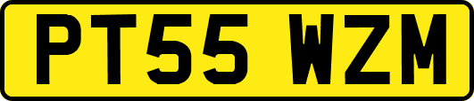 PT55WZM
