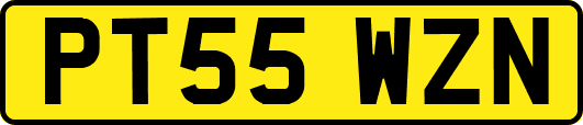 PT55WZN