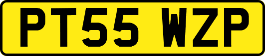 PT55WZP