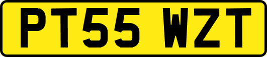 PT55WZT