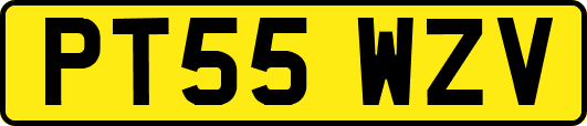 PT55WZV
