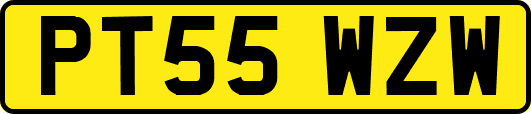 PT55WZW