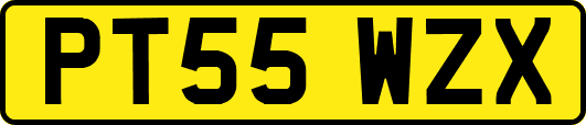 PT55WZX