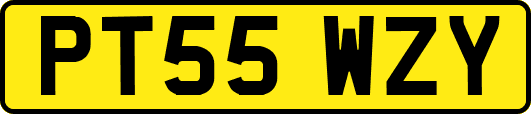 PT55WZY