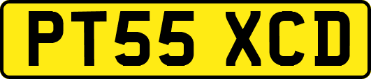 PT55XCD