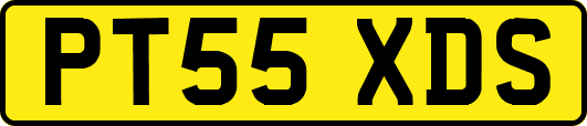 PT55XDS
