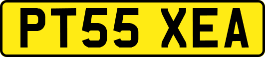 PT55XEA
