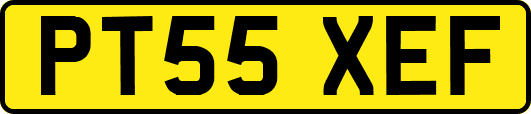 PT55XEF