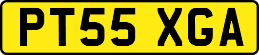 PT55XGA