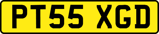 PT55XGD