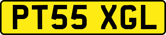 PT55XGL
