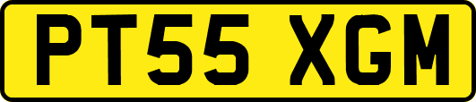PT55XGM
